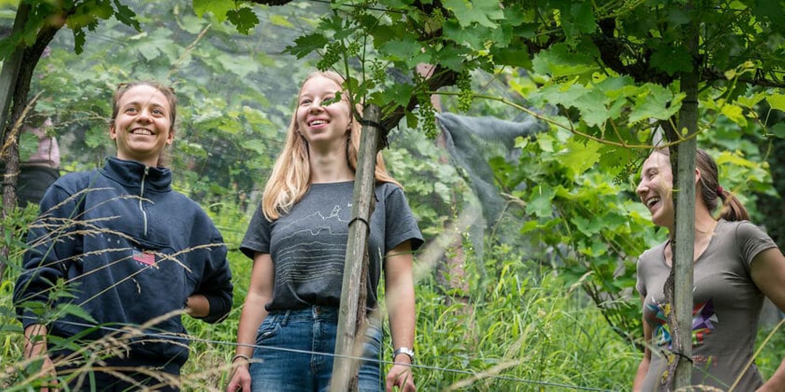 Natur verbindet – Auslauben im Rebberg